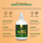 Radiant Aloe Vera and Avocado Shampoo