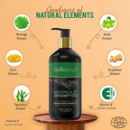 Revitalizing Hair Care Moringa Shampoo