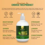 Radiant Aloe Vera and Avocado Shampoo