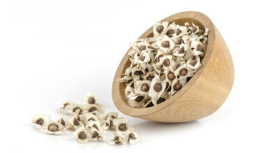 Moringa Seed with Wings