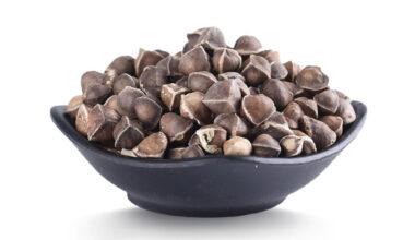 Moringa Seed without Wing