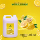 Pro+ Handwash with Lemon Blast